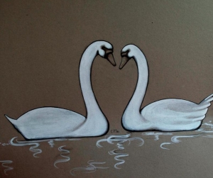 Swans 